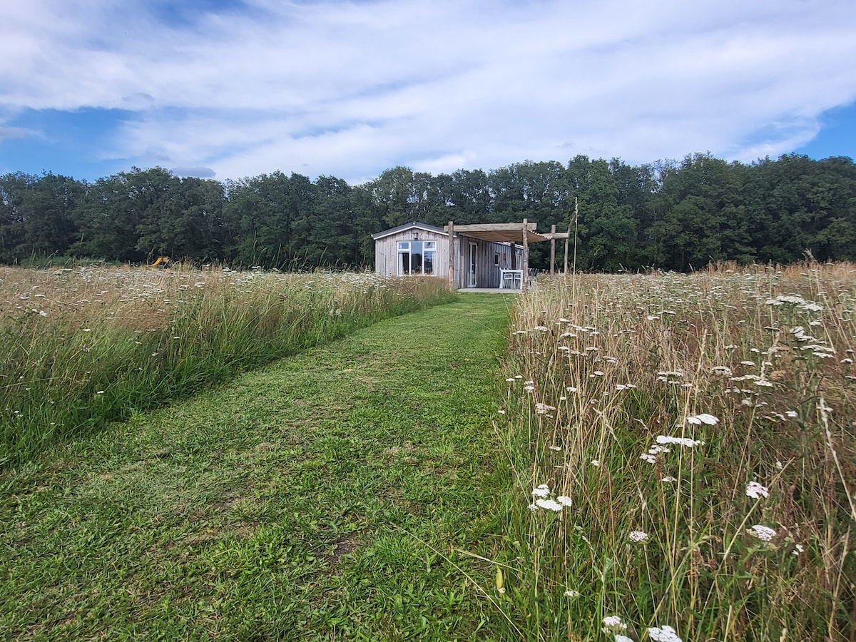 A grassy pathway meanders through tall, wildflowers leading to a charming wooden chalet. The structure features large windows and an overhanging porch, providing a serene view of the surrounding nature. Lush trees frame the scene against a bright, partly cloudy sky.