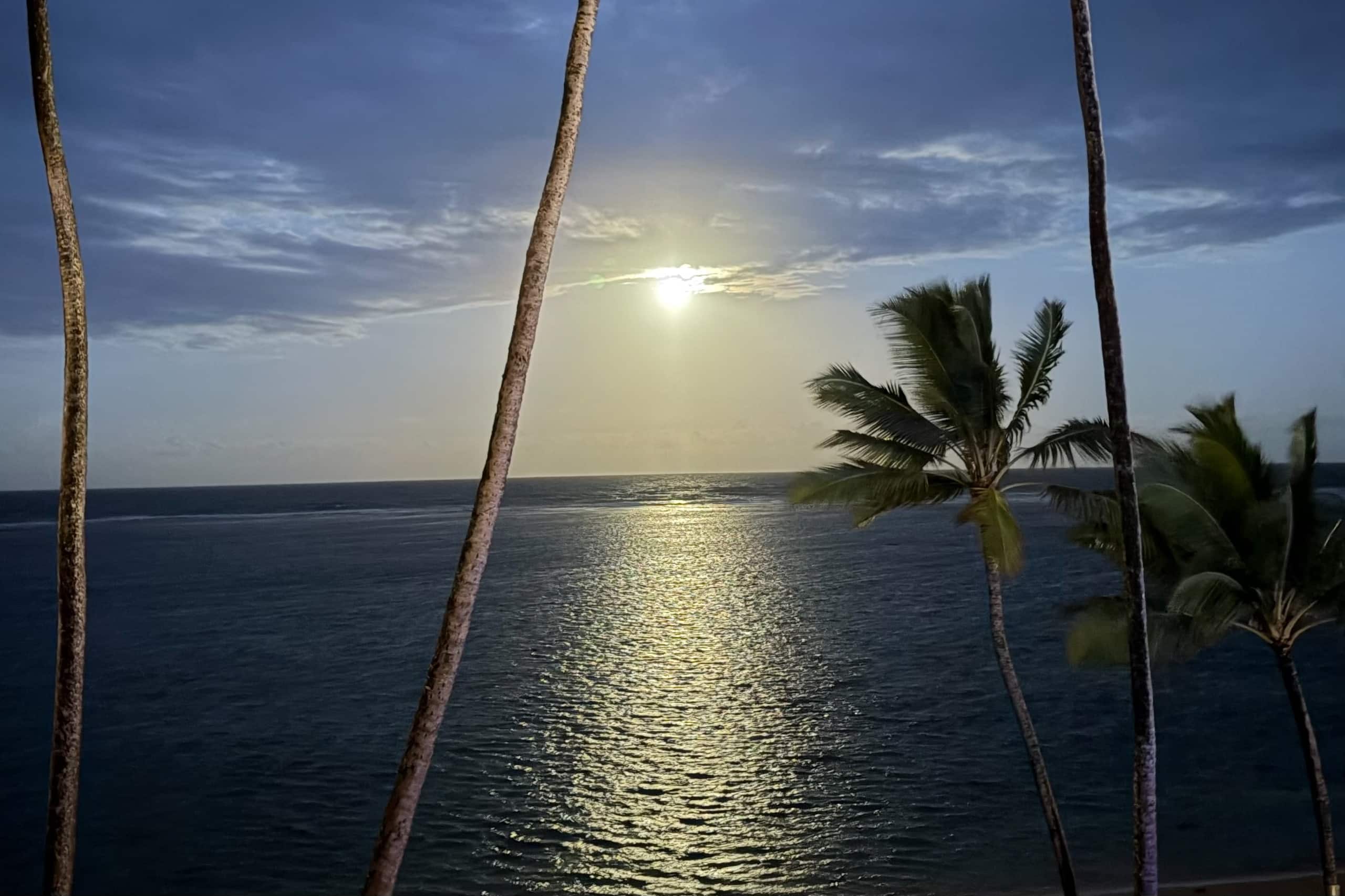 Condo in Hauula · ★4.88 · 1 bedroom · 2 beds · 1 private bath - Image 28