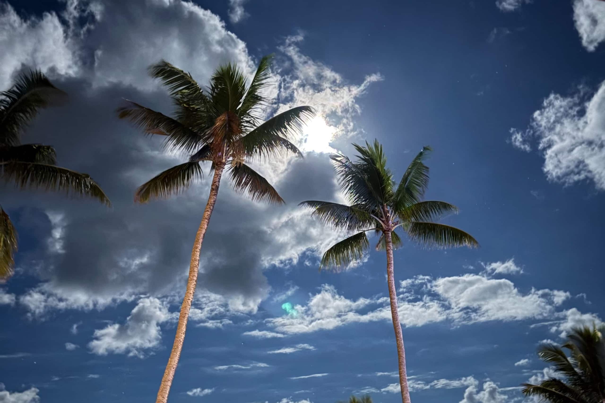 Condo in Hauula · ★4.88 · 1 bedroom · 2 beds · 1 private bath - Image 27