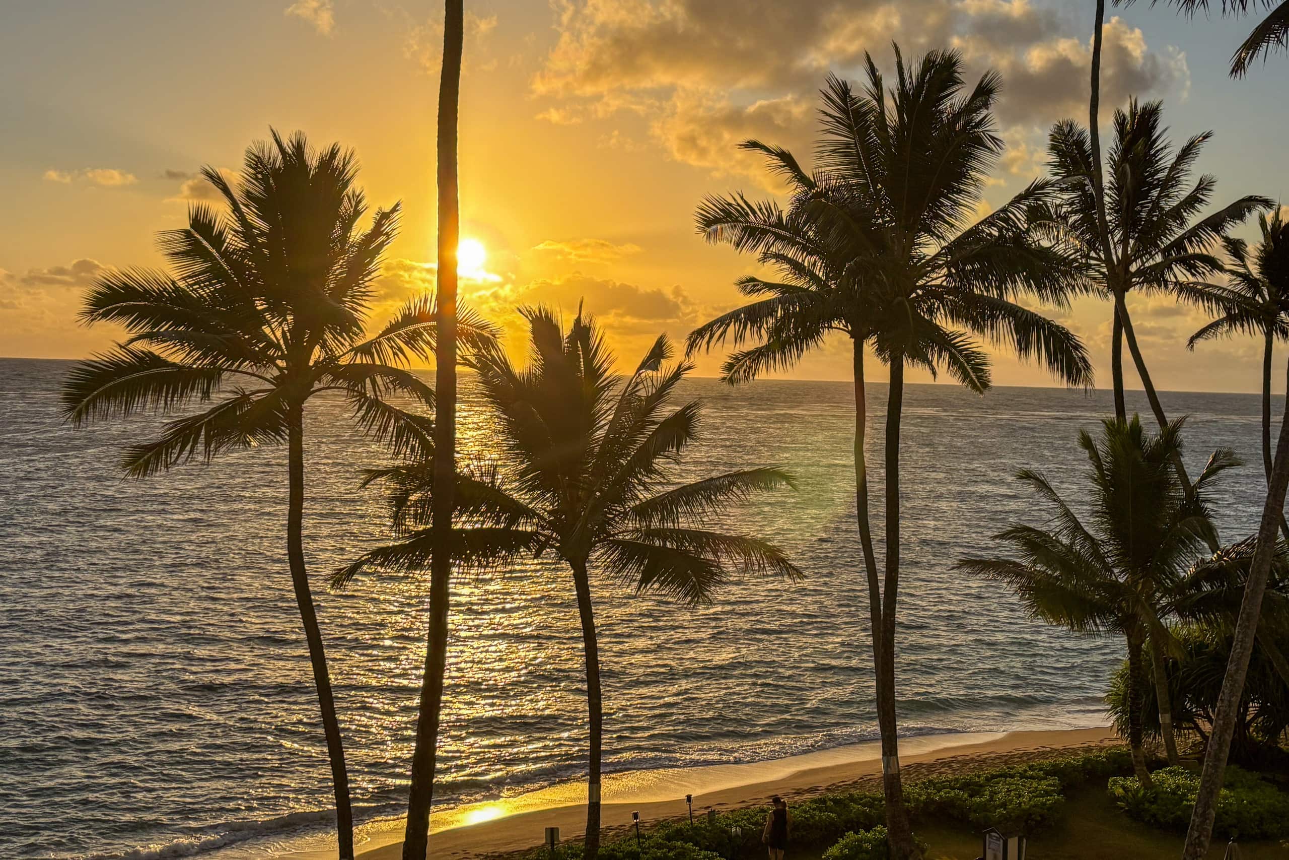Condo in Hauula · ★4.88 · 1 bedroom · 2 beds · 1 private bath - Image 26