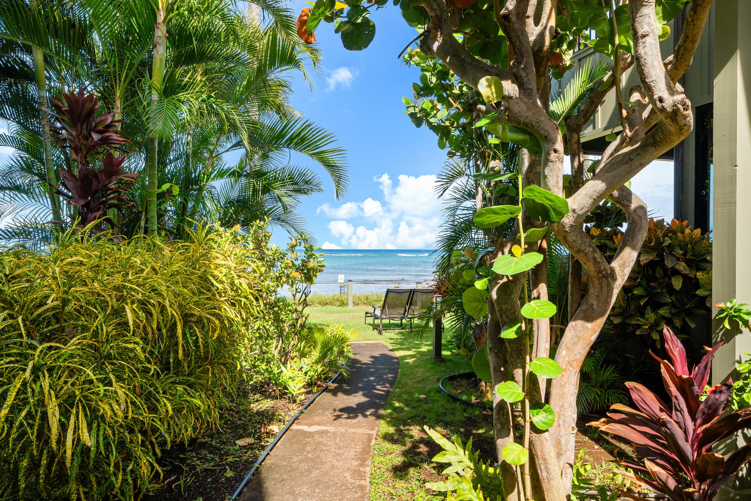 Condo in Lahaina · ★5.0 · 2 bedrooms · 4 beds · 2 baths - Image 40