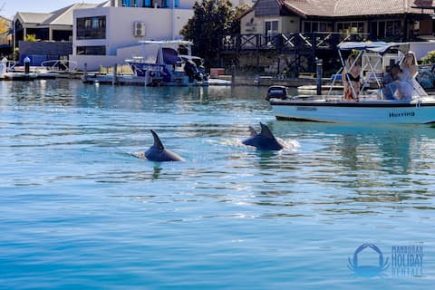 Dolphin Retreat in Halls Head