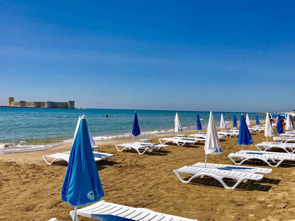 A serene beach with rows of white lounge chairs facing the calm sea. Blue and white umbrellas are positioned on the golden sand, providing shade. The clear blue sky and tranquil water create a peaceful seaside atmosphere, inviting relaxation.