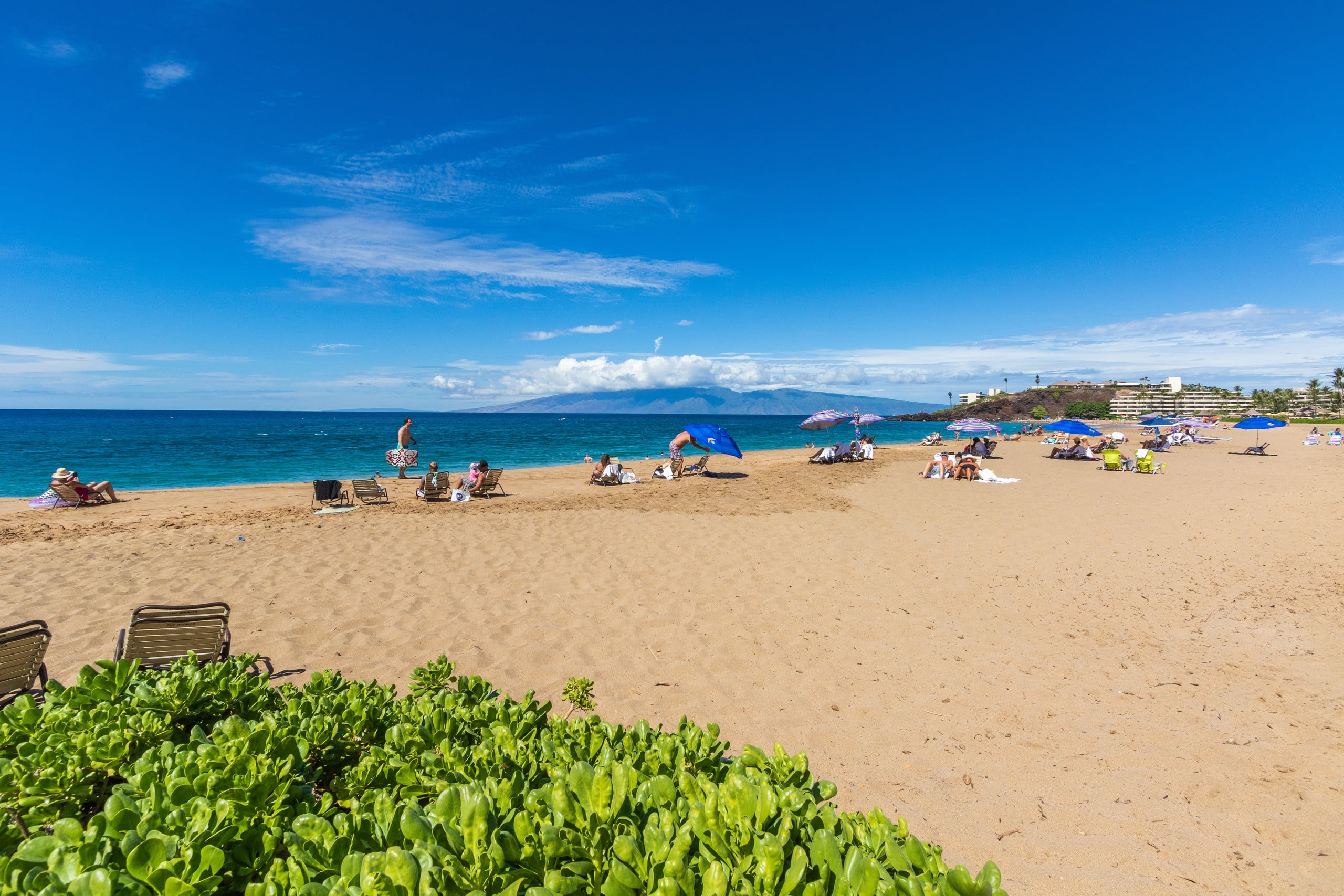 Whaler at Kaanapali Beach #565 - Image 39