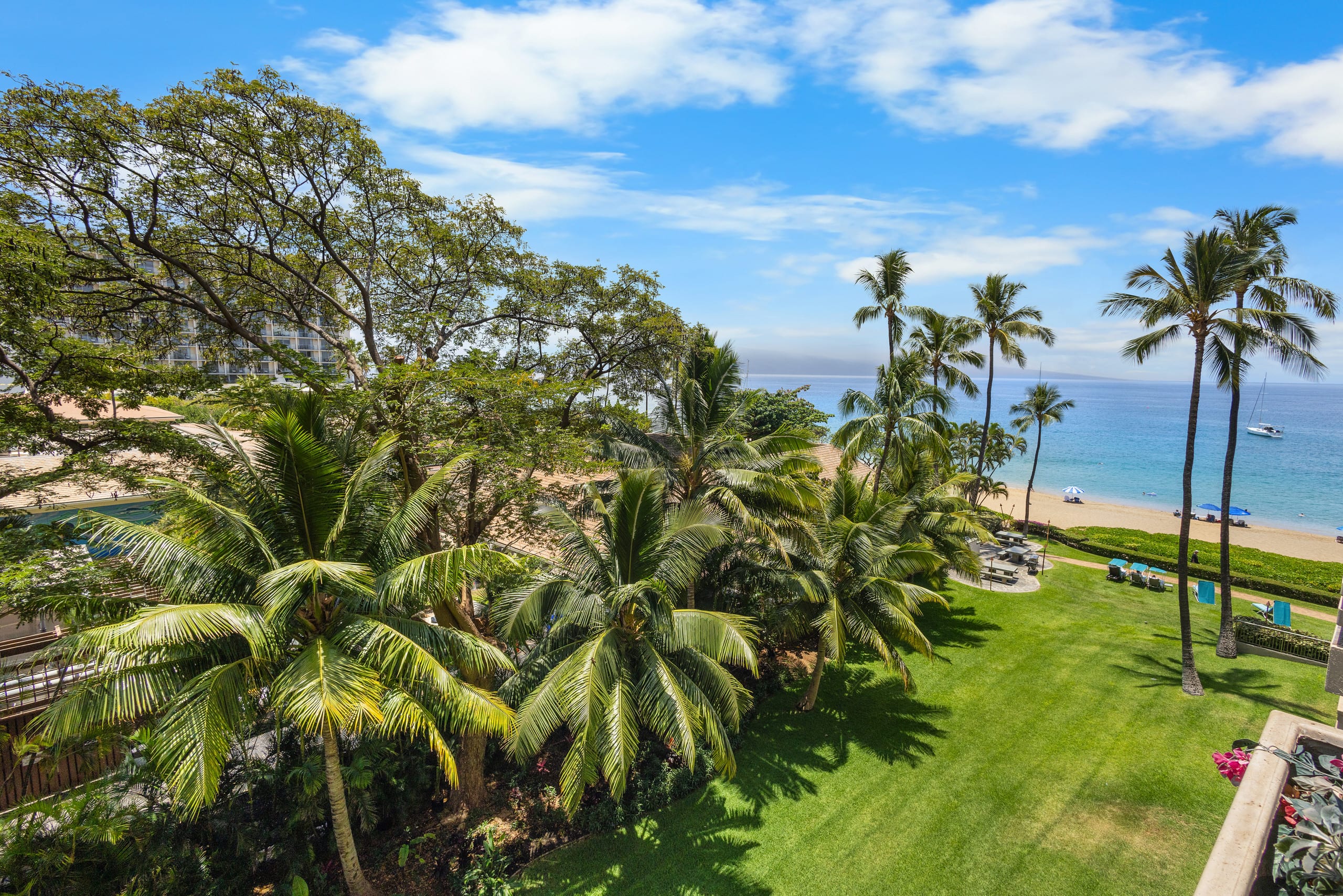 Whaler at Kaanapali Beach #565 - Image 1