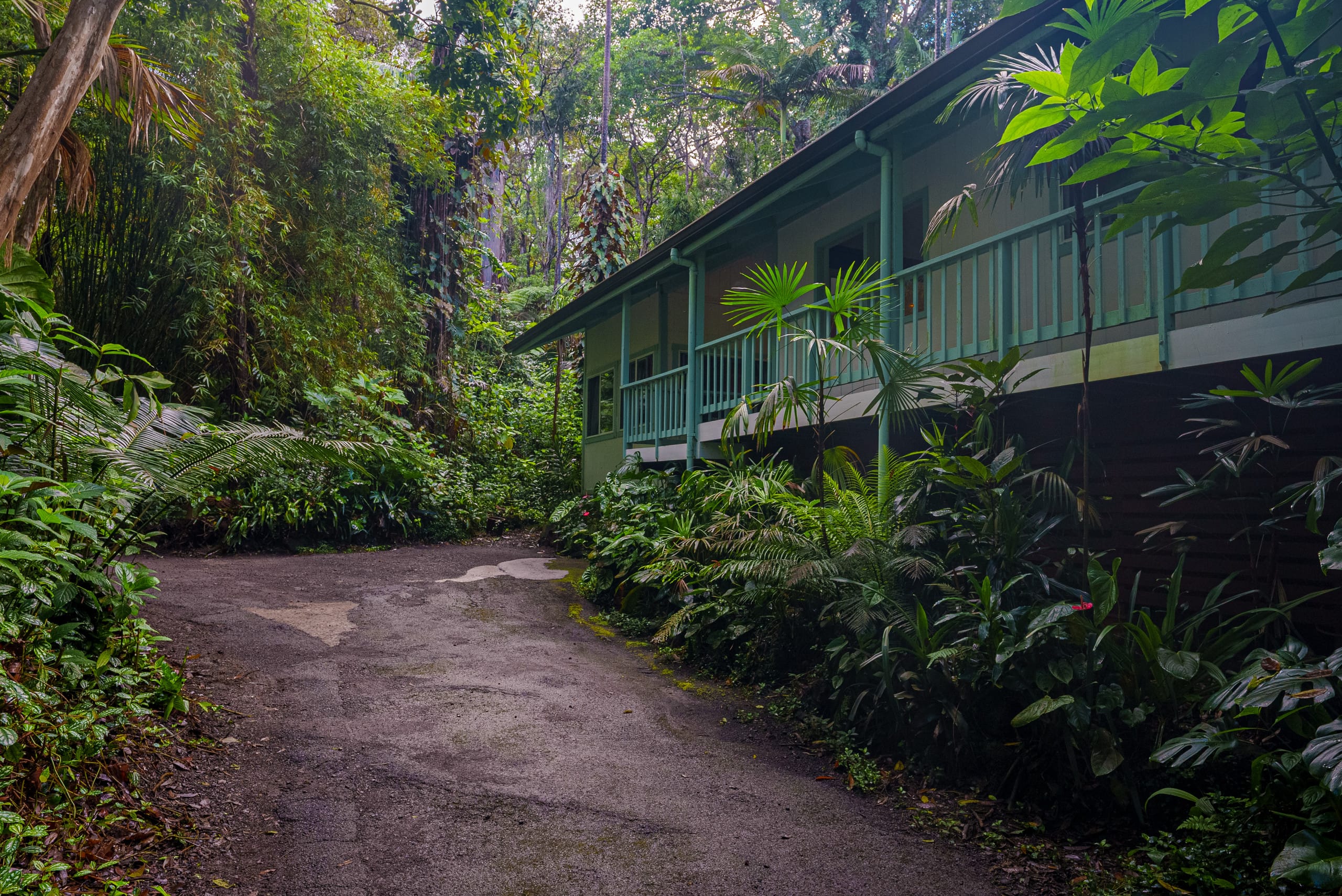 Home in Kailua-Kona · ★5.0 · 5 bedrooms · 9 beds · 3 baths - Image 54