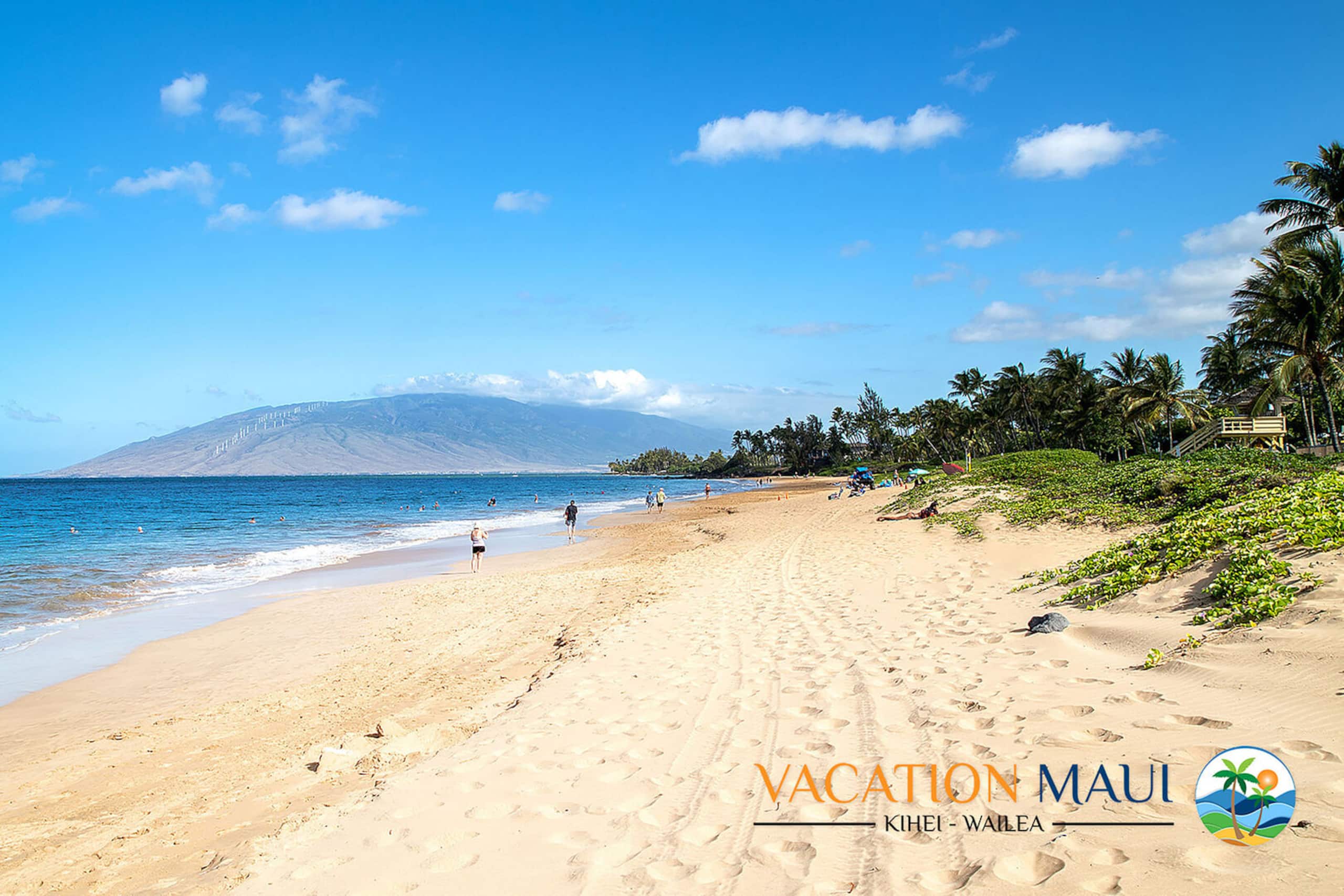 Condo in Kihei · ★5.0 · 1 bedroom · 2 beds · 1 bath - Image 49