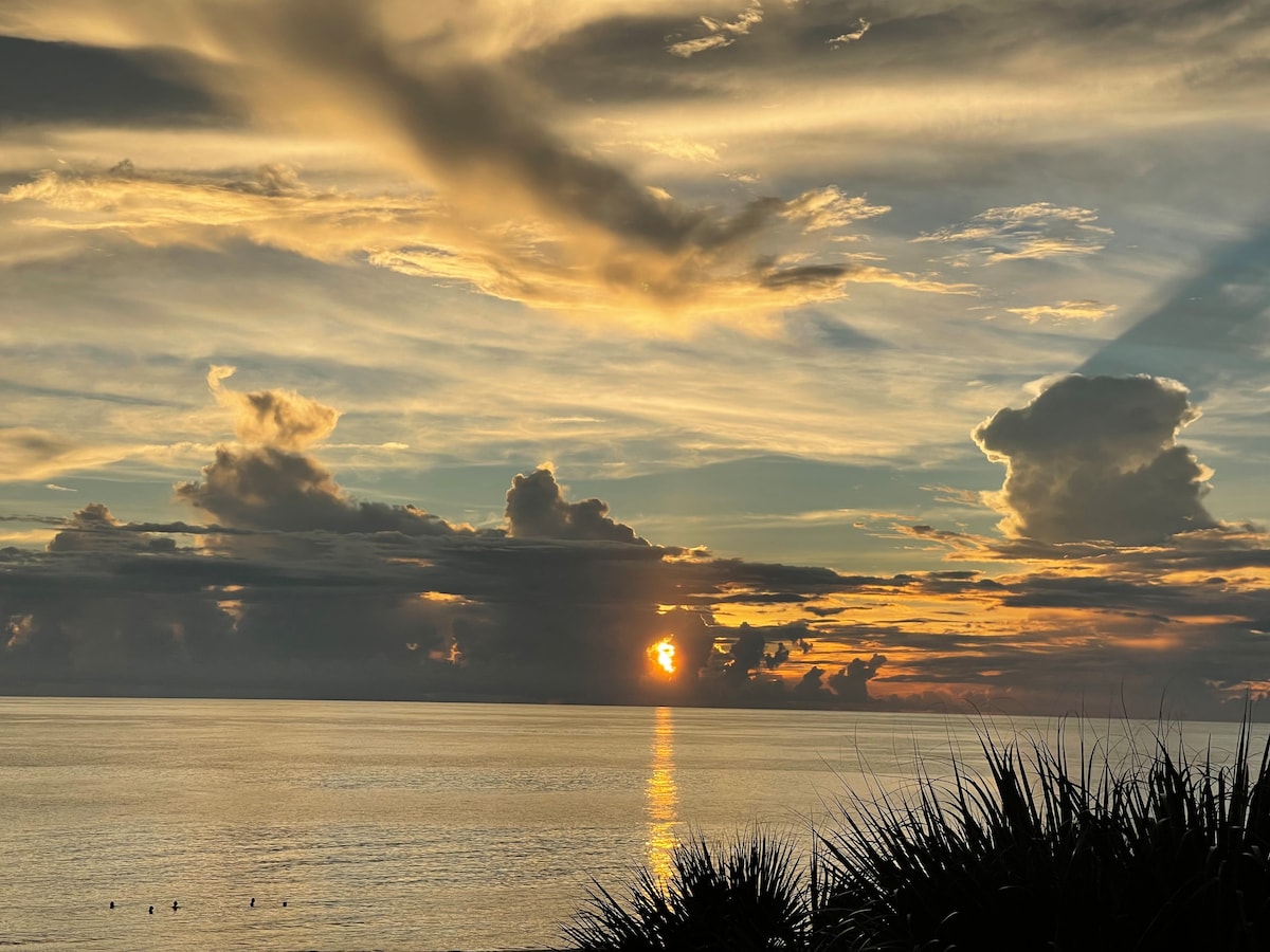 A serene sunset over the water is captured, with vibrant hues of orange and yellow reflecting on the calm ocean surface. Soft clouds create a textured sky, while silhouettes of coastal vegetation frame the scene.