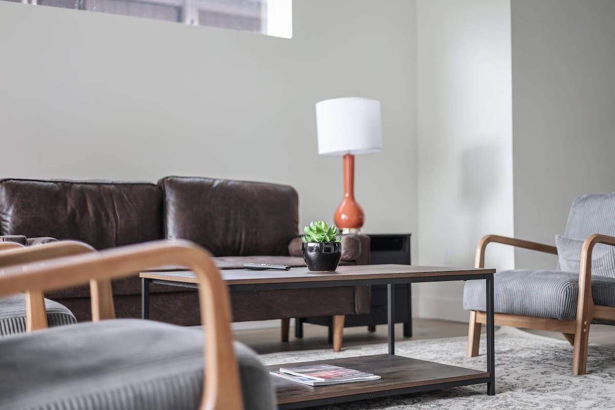 Stunning Austin Skyline | Groups & Pets!