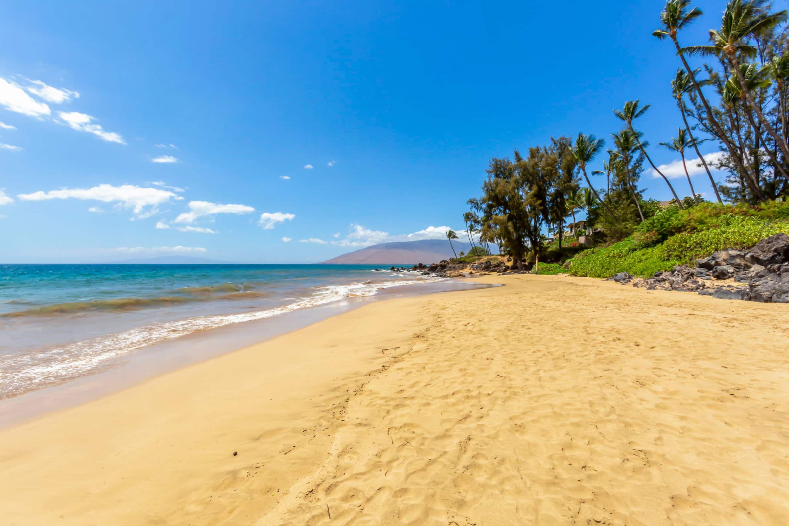 Condo in Kihei · ★4.83 · 1 bedroom · 2 beds · 2 shared baths - Image 37