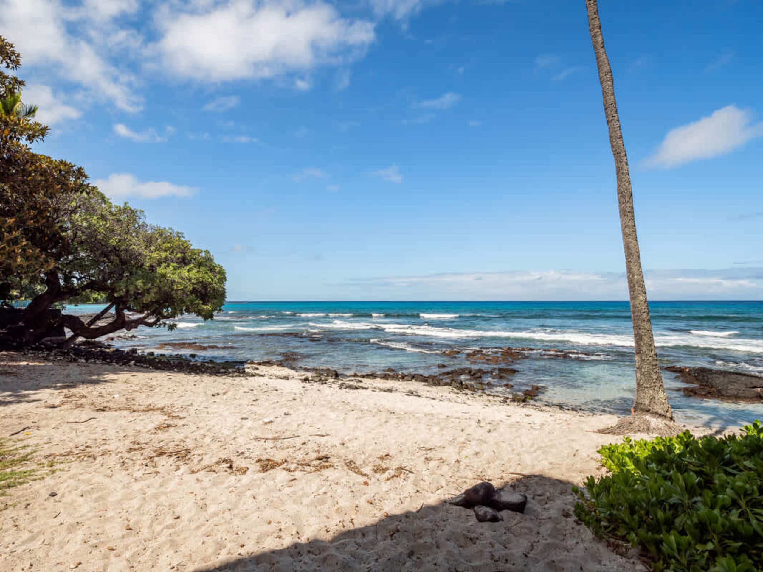 Condo in Kailua-Kona · ★4.85 · 1 bedroom · 2 beds · 1 bath - Image 21