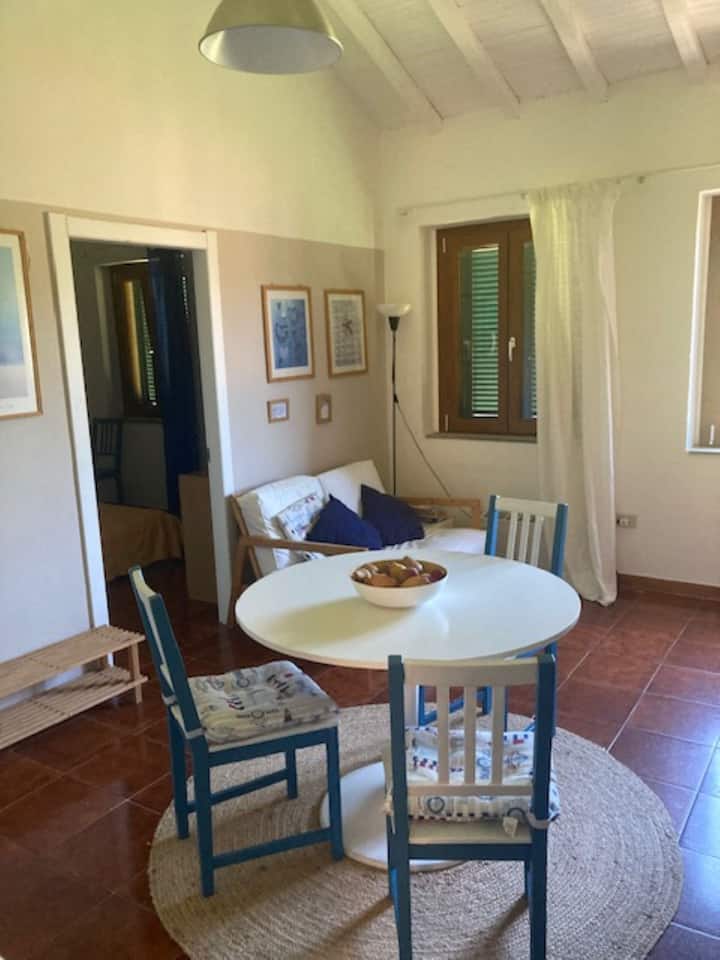 The Blondie Apartment - Capraia Isola