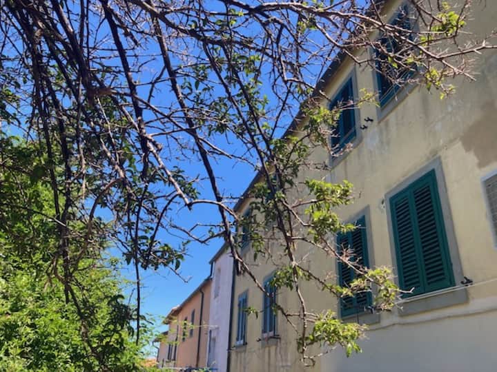 The Blondie Apartment - Capraia Isola