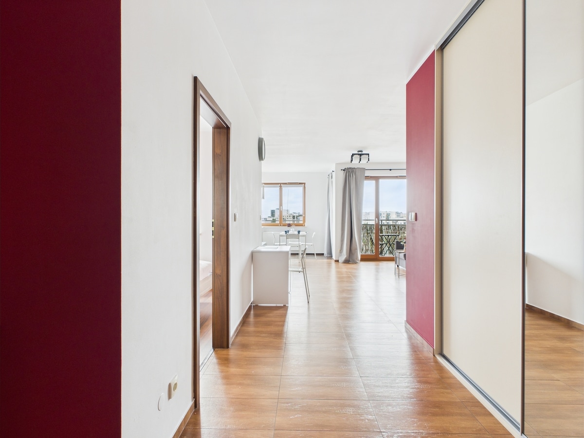 Კომფორტული გასაშლელი დივანი, ტელევიზორი, მაგიდა + სკამები, სამუშაო მაგიდა, აივანი.