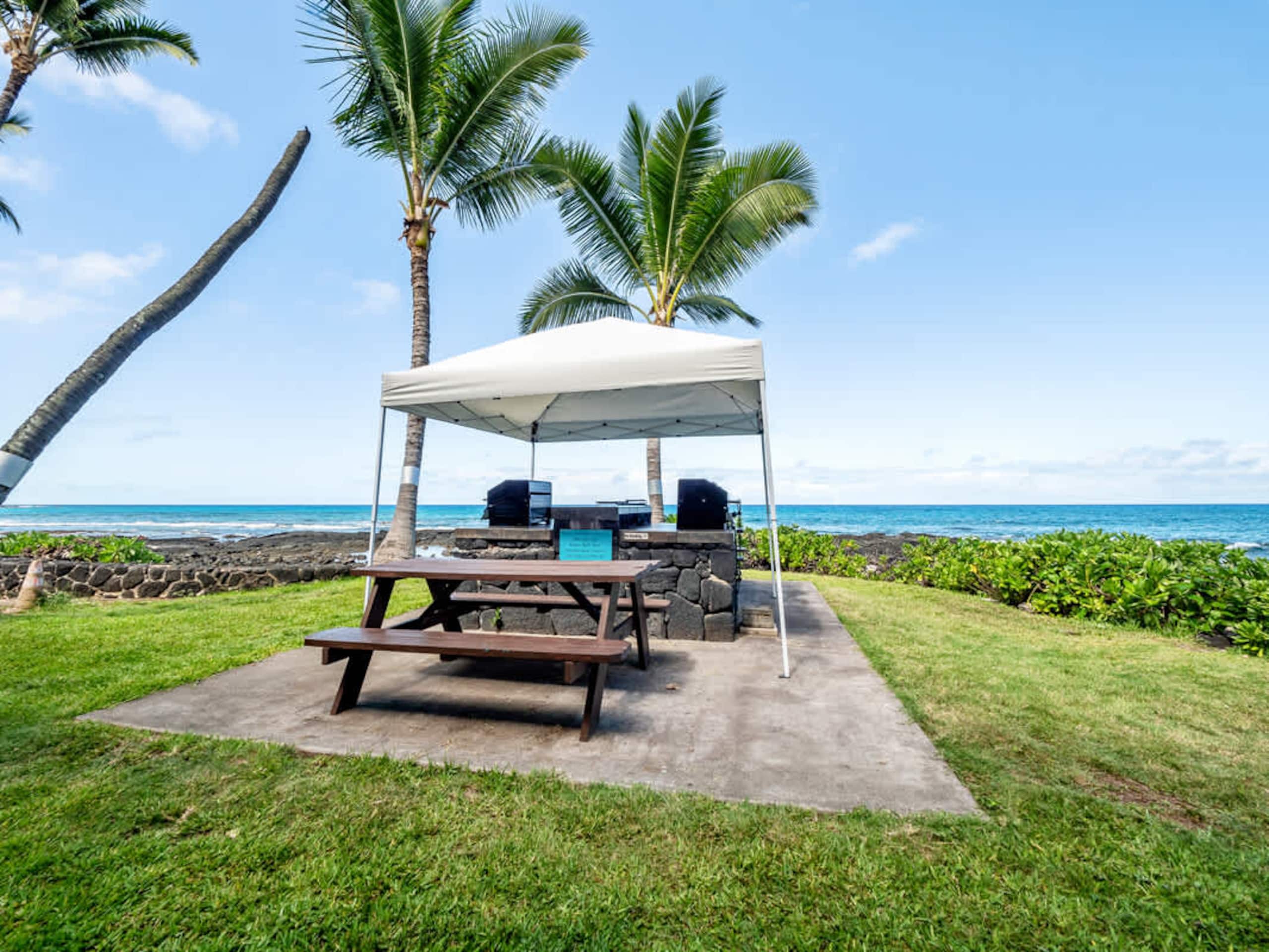 Condo in Kailua-Kona · ★4.9 · 1 bedroom · 2 beds · 1 bath - Image 27