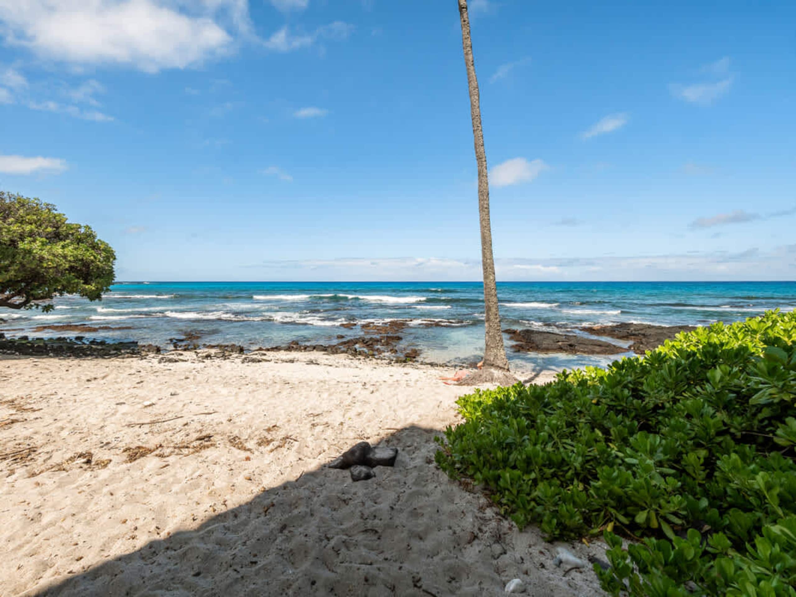 Condo in Kailua-Kona · ★4.9 · 1 bedroom · 2 beds · 1 bath - Image 20
