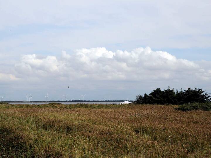 Maison De Vacances Pour 8 A Ulfborg-by Traum - Thorsminde