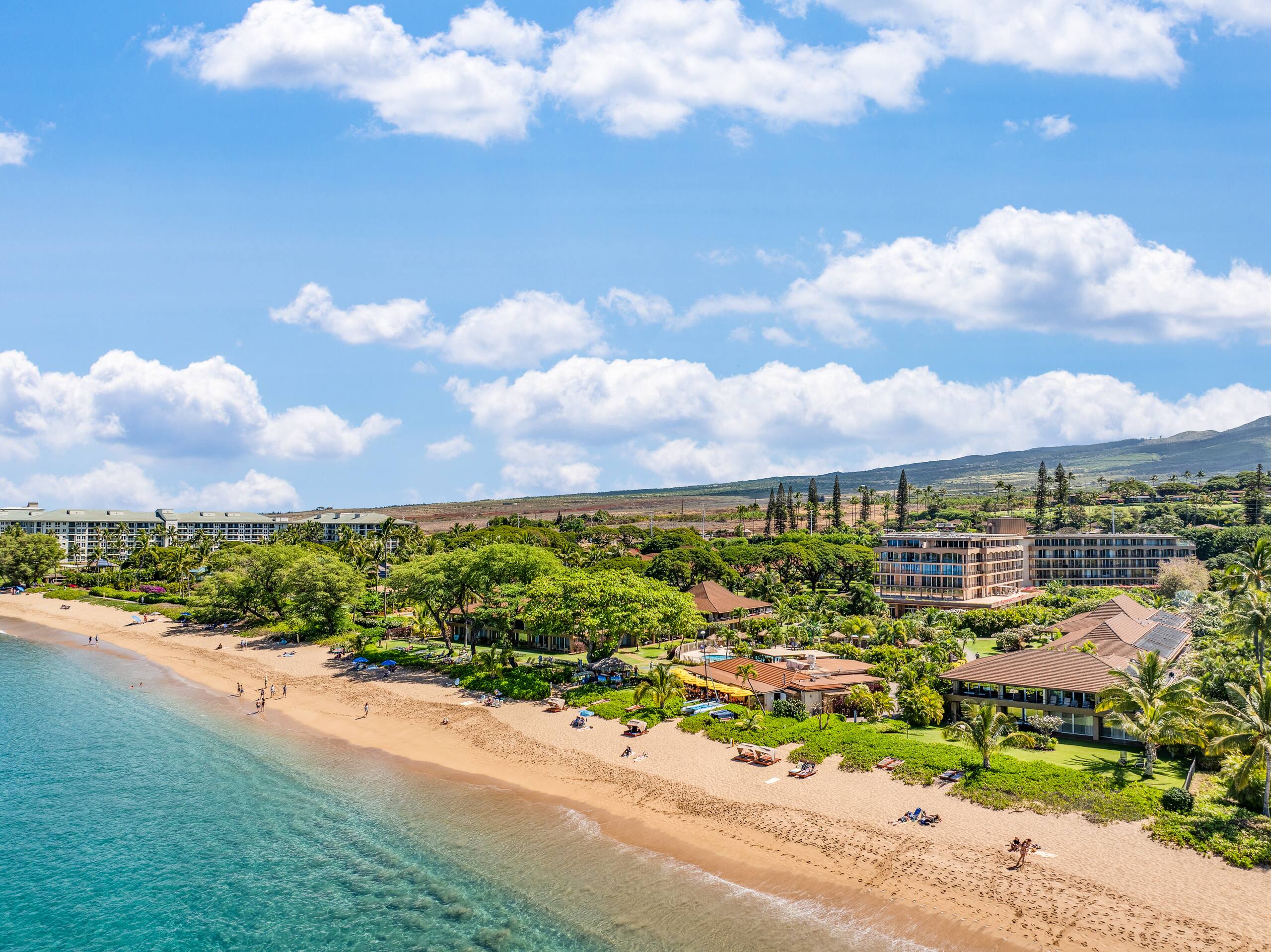 Condo in Lahaina · ★5.0 · 1 bedroom · 2 beds · 1 bath - Image 46