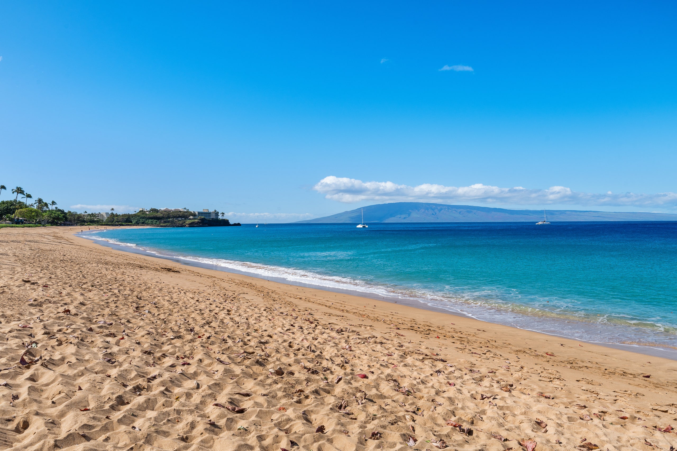 Condo in Lahaina · ★5.0 · 1 bedroom · 2 beds · 1 bath - Image 48