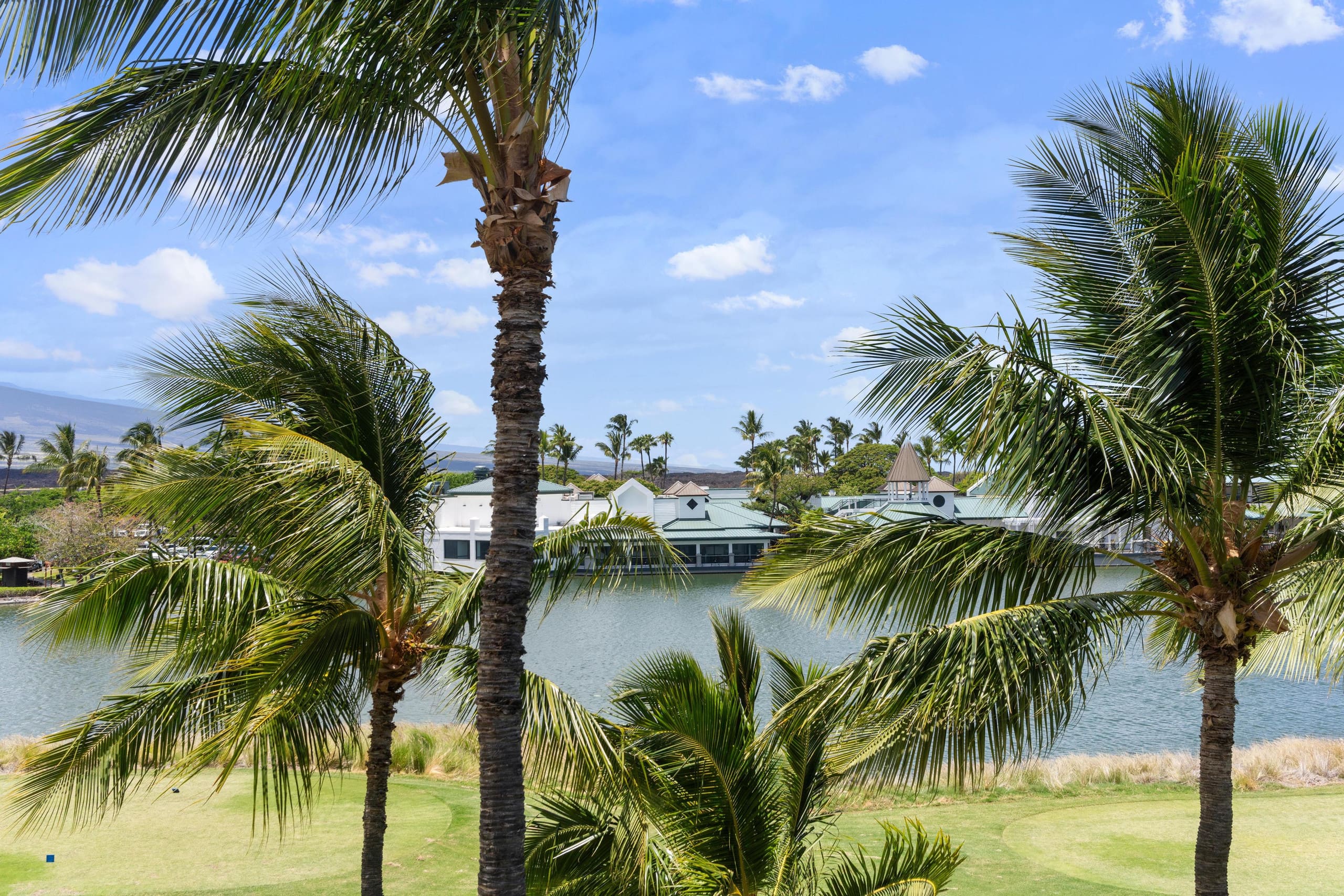 Golf Discounts/Lake Views N34 Waikoloa Fairway - Photo 25