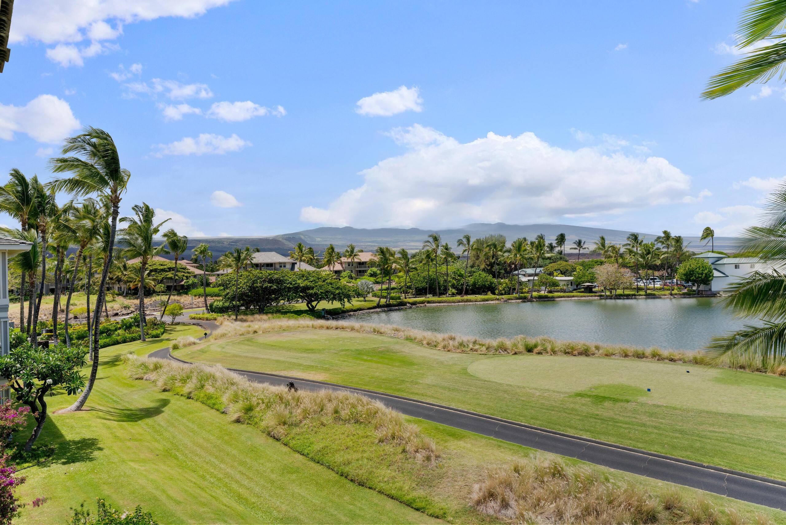 Golf Discounts/Lake Views N34 Waikoloa Fairway - Photo 41