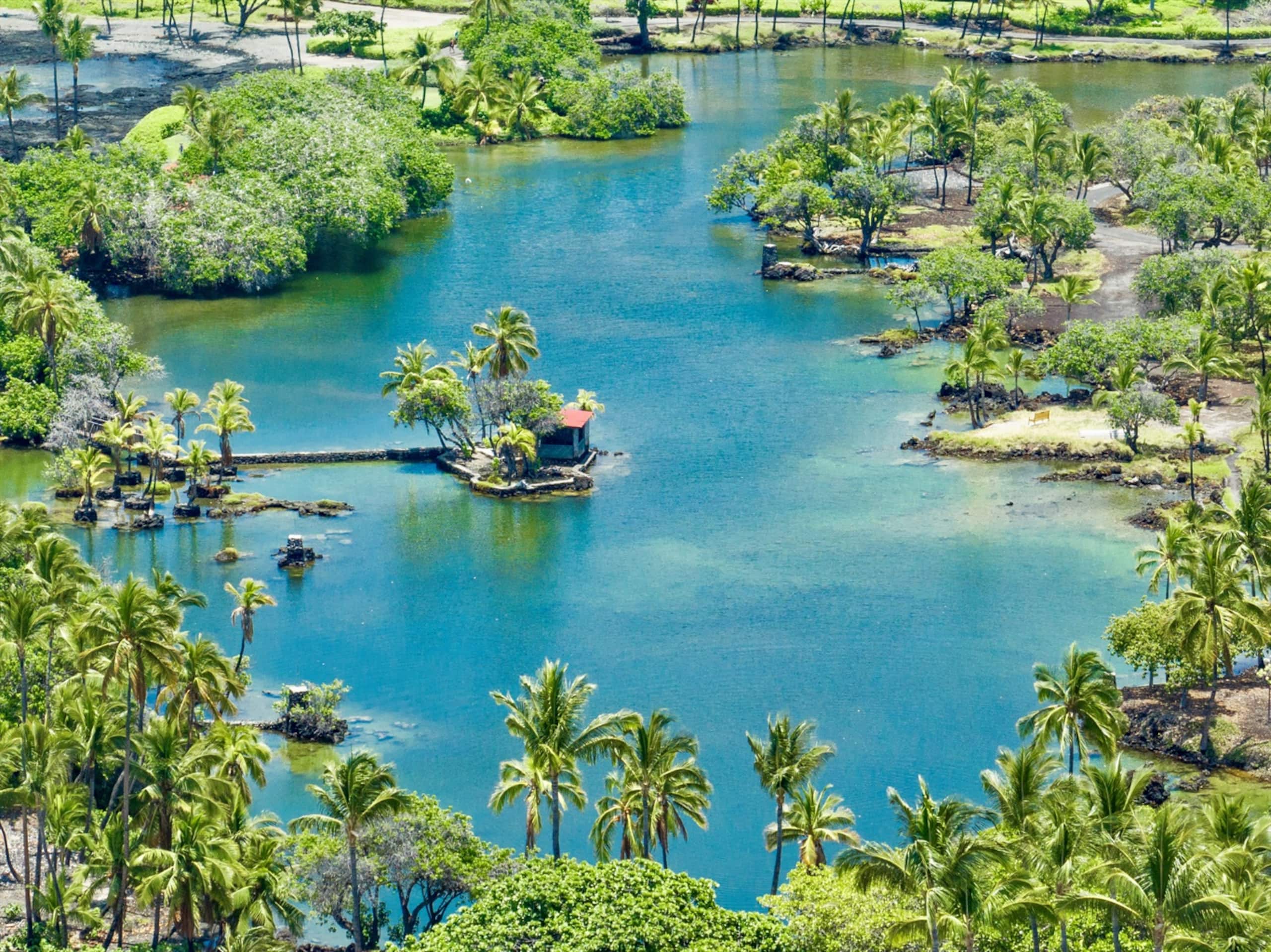 Condo in Waimea · ★5.0 · 2 bedrooms · 3 beds · 2.5 baths - Image 53