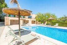 Romaní des Figueral