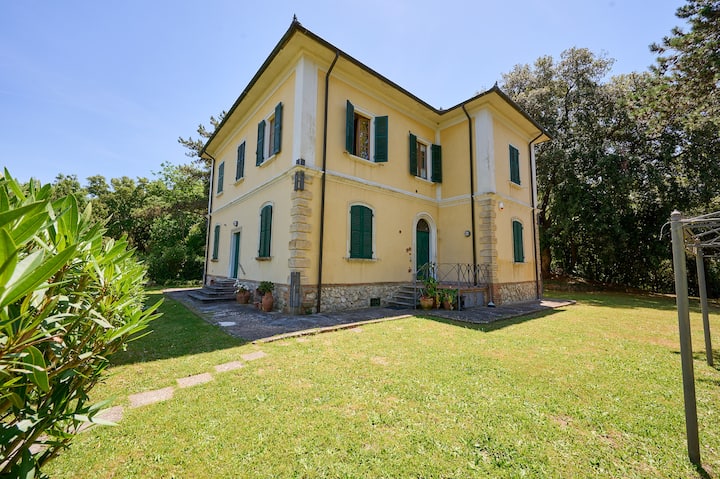 House Cesari - Scarlino