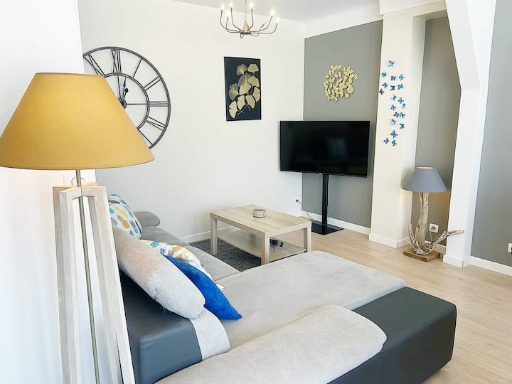 Chez Clém, Garage Privé Spacieux, Wifi, Netflix - Reims