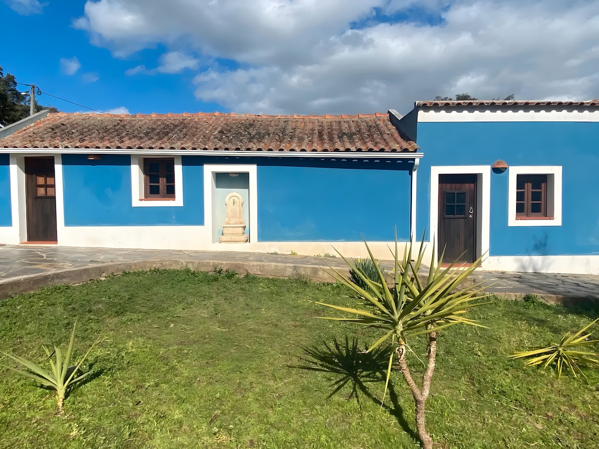 A vibrant blue structure is viewed from the garden, revealing a classic tile roof and wooden doors. The foreground displays green grass and spiky plants, creating a lively contrast against the building's facade. The sky is partly cloudy, adding depth to the scene.