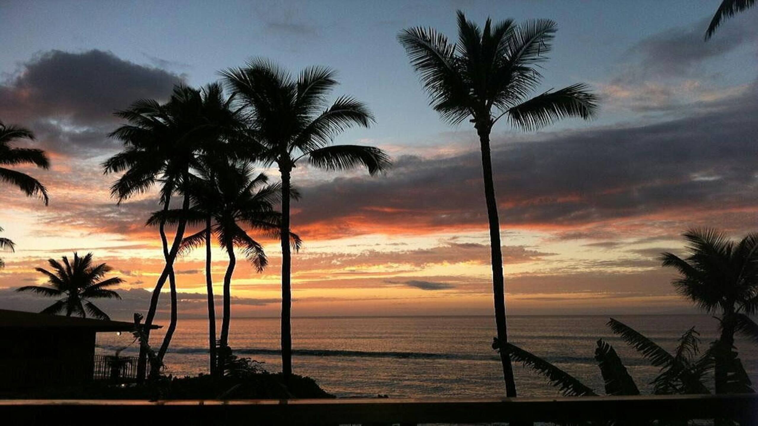 Condo in Lahaina · ★4.68 · 1 bedroom · 2 beds · 1 bath - Image 37