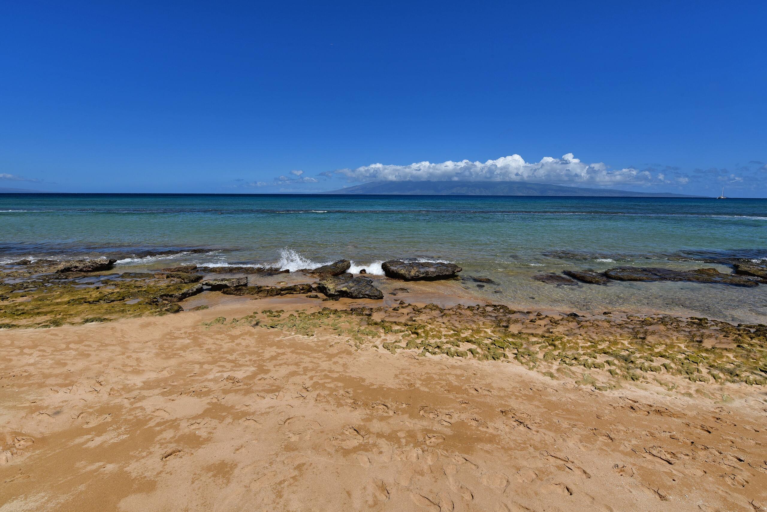 Condo in Lahaina · ★4.68 · 1 bedroom · 2 beds · 1 bath - Image 39