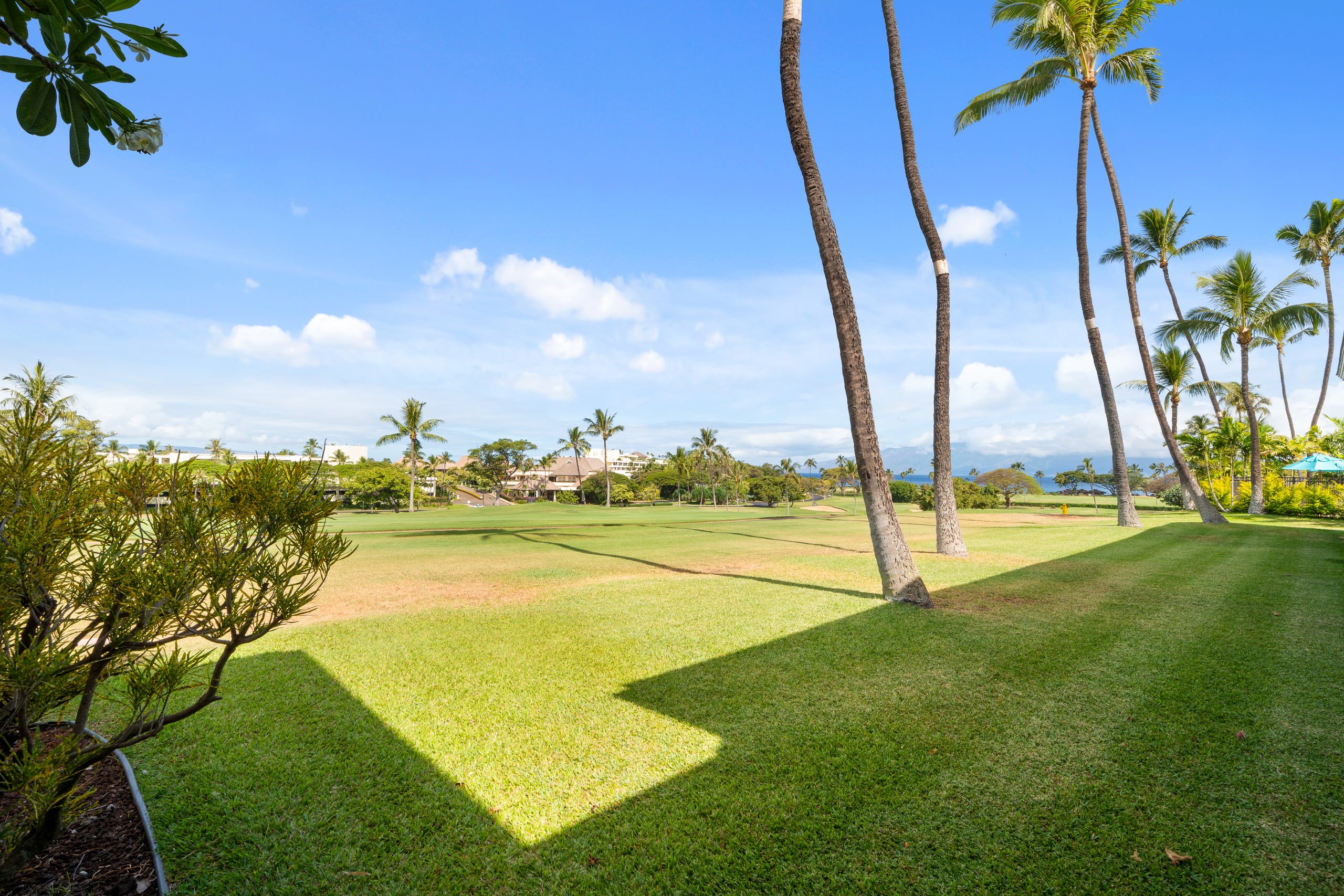 Condo in Lahaina · ★4.8 · 1 bedroom · 1 bed · 1 bath - Image 12