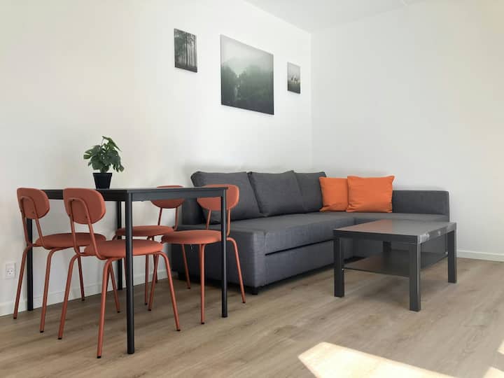 Convenient Apartment In Odense - Denemarken