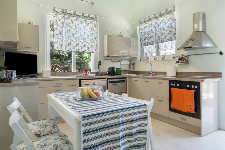 Psathi Seaview House Ground Floor gallery image 4