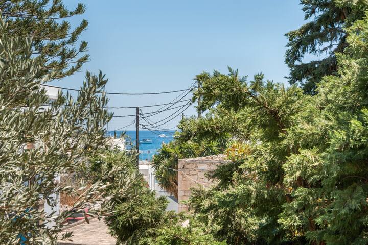 Psathi Seaview House Ground Floor gallery image 3