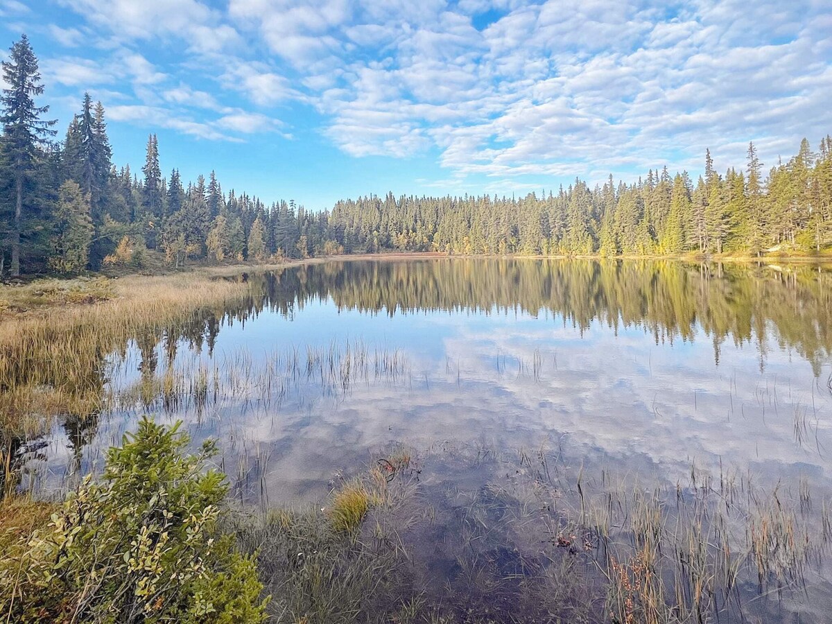A serene landscape reveals a calm lake surrounded by dense evergreen forests. The water reflects a clear sky adorned with soft clouds. Grassy patches and vegetation frame the shoreline, adding to the natural beauty of the tranquil setting.