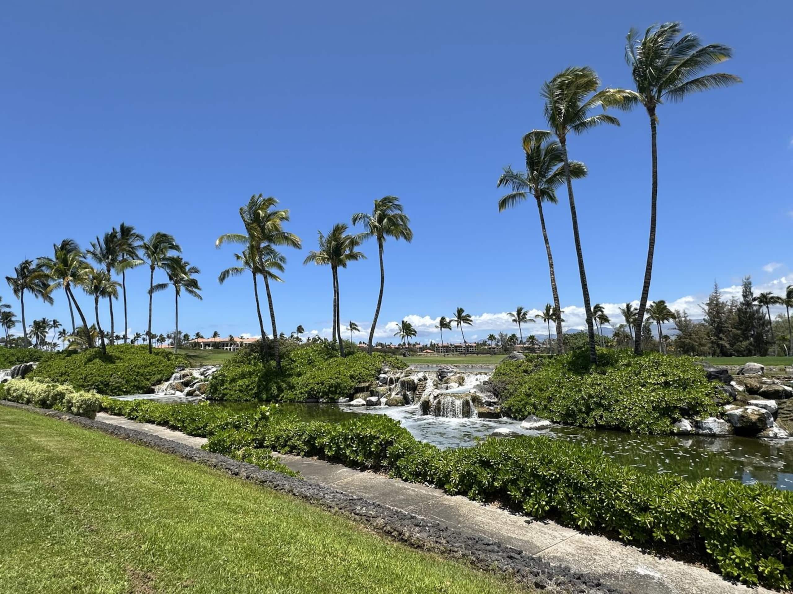 Large Lanais, AC, Beach Gear, Resorts - Photo 39