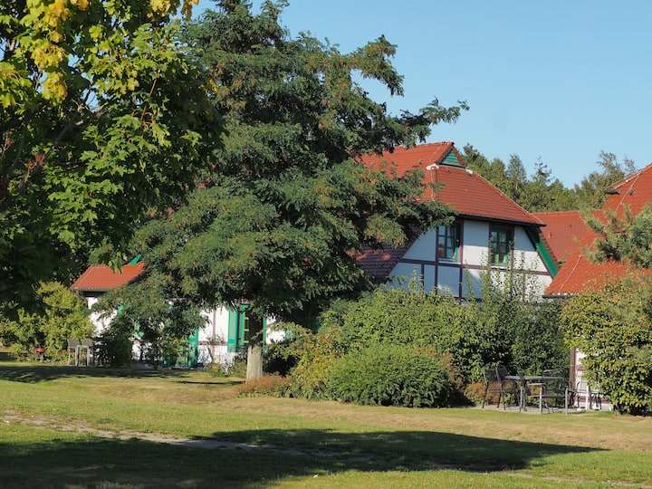 Apartment In Dranske With Pool - Breege