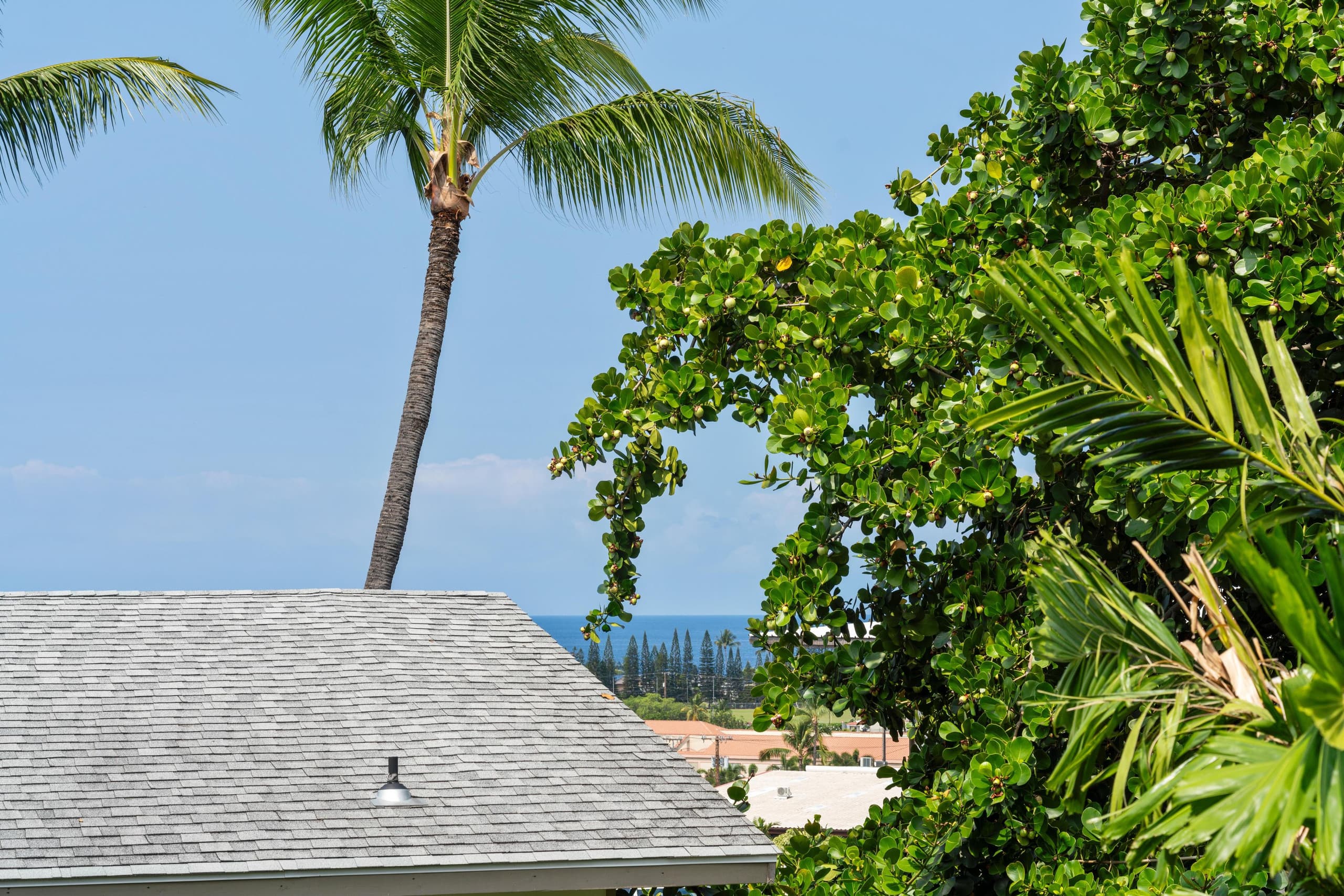 Condo in Kailua-Kona · ★5.0 · 2 bedrooms · 3 beds · 1 shared bath - Image 21