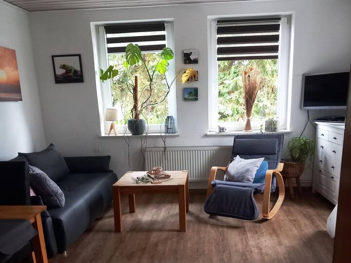 Appartement à Stormbruch Avec Vue Sur Montagne - Diemelsee