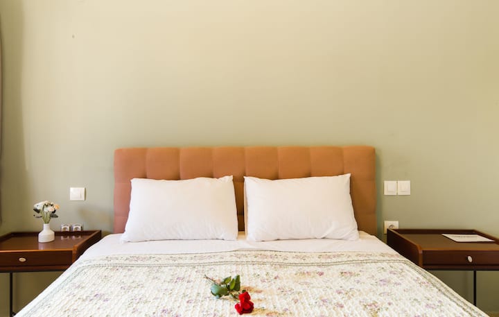 Limonero New City Apartment 2 With Private Parking - Lefkada