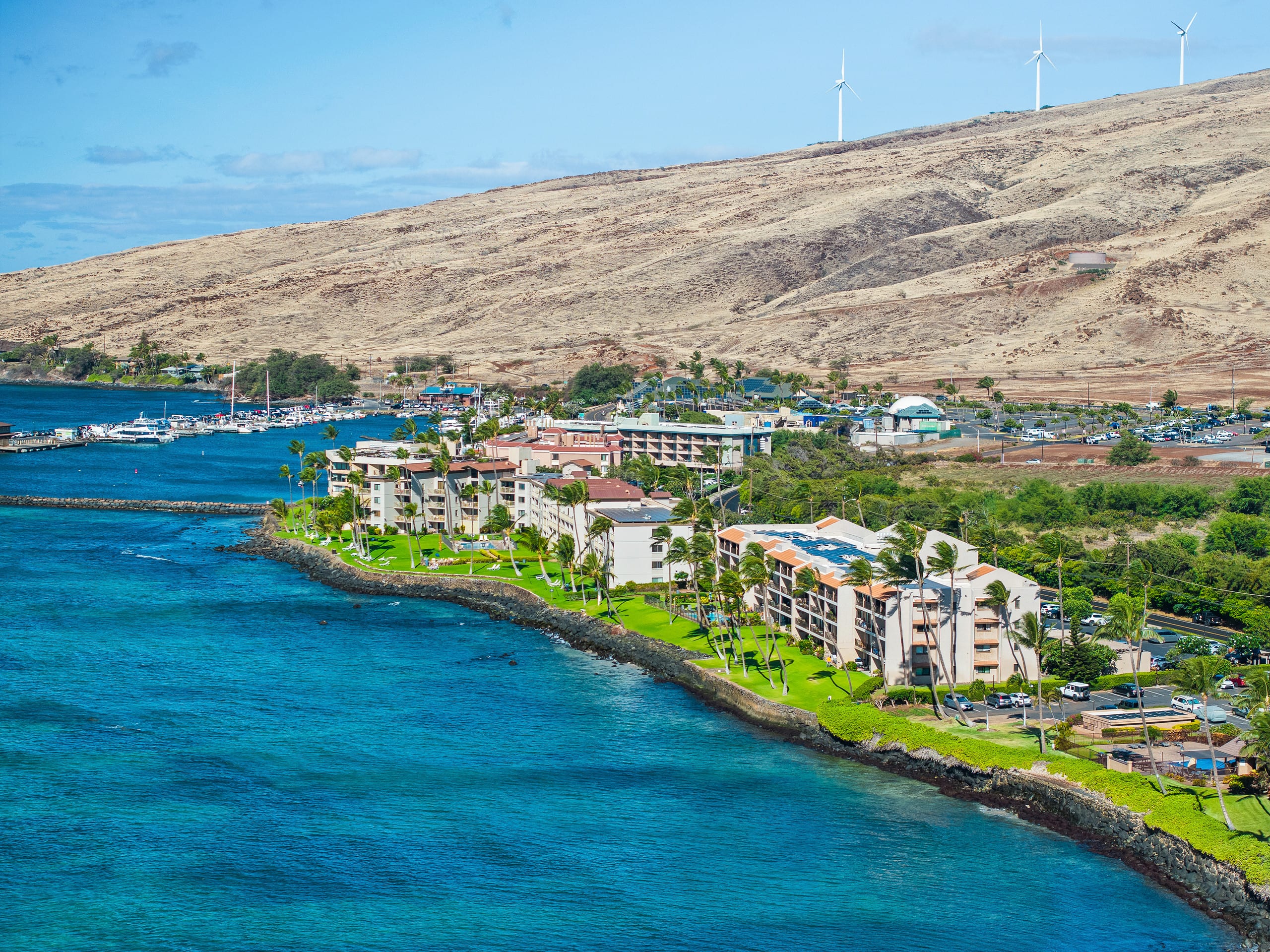 Condo in Wailuku · ★4.74 · 2 bedrooms · 3 beds · 2 baths - Image 35