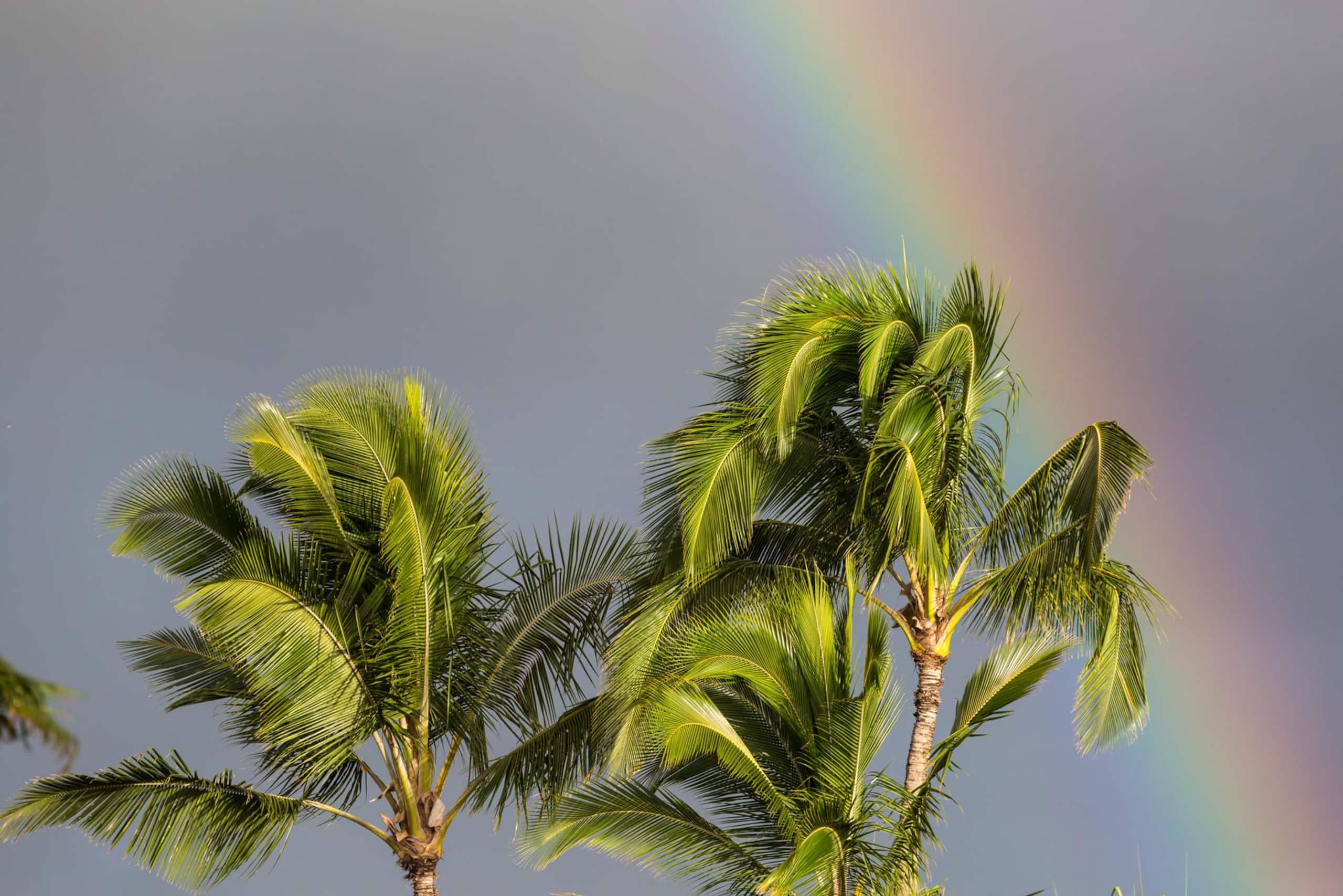 Home in Kilauea · ★5.0 · 2 bedrooms · 2 beds · 2 baths - Image 10