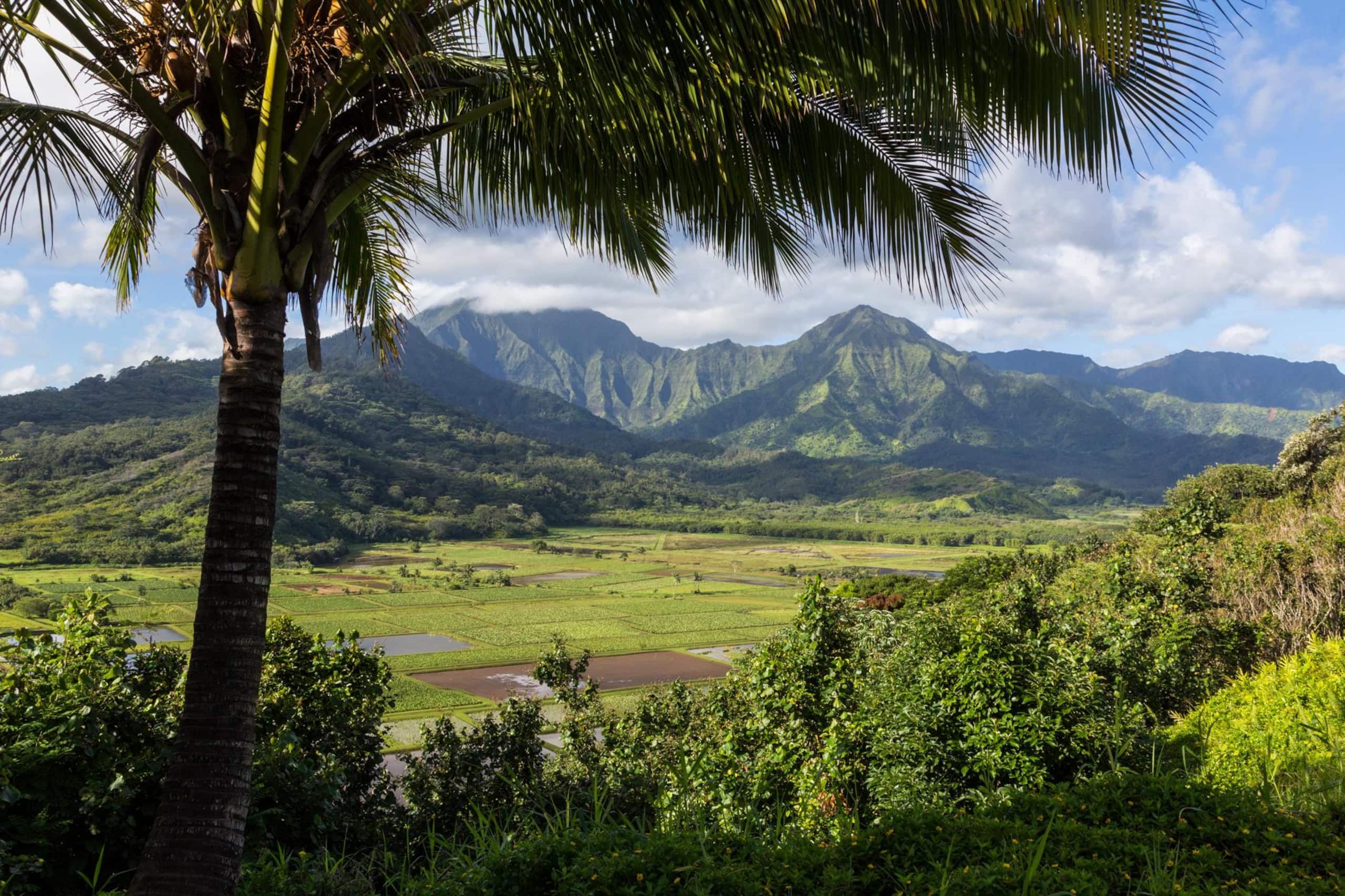 Home in Kilauea · ★5.0 · 2 bedrooms · 2 beds · 2 baths - Image 11