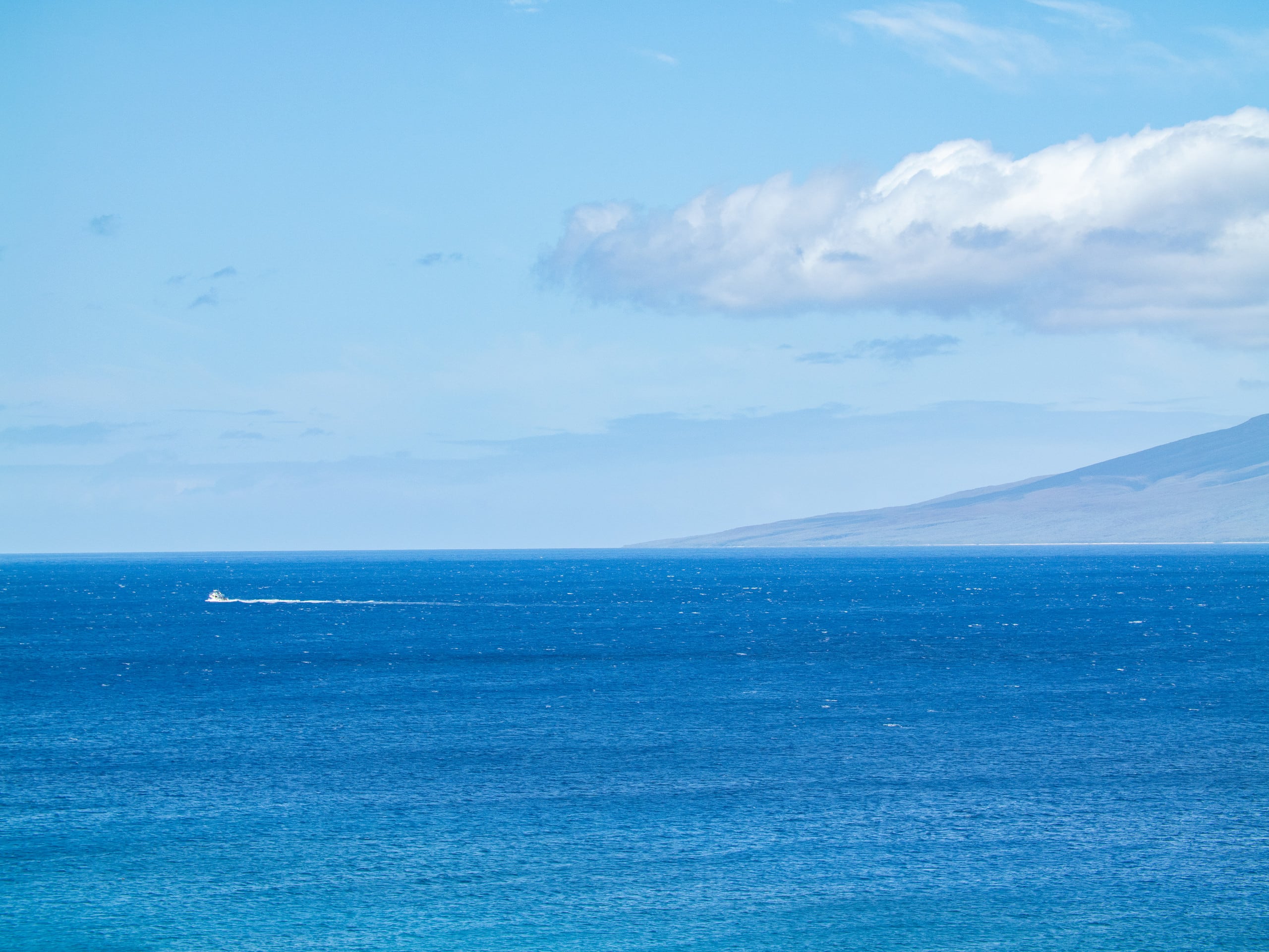 Condo in Lahaina · ★4.93 · 2 bedrooms · 3 beds · 2 baths - Image 21