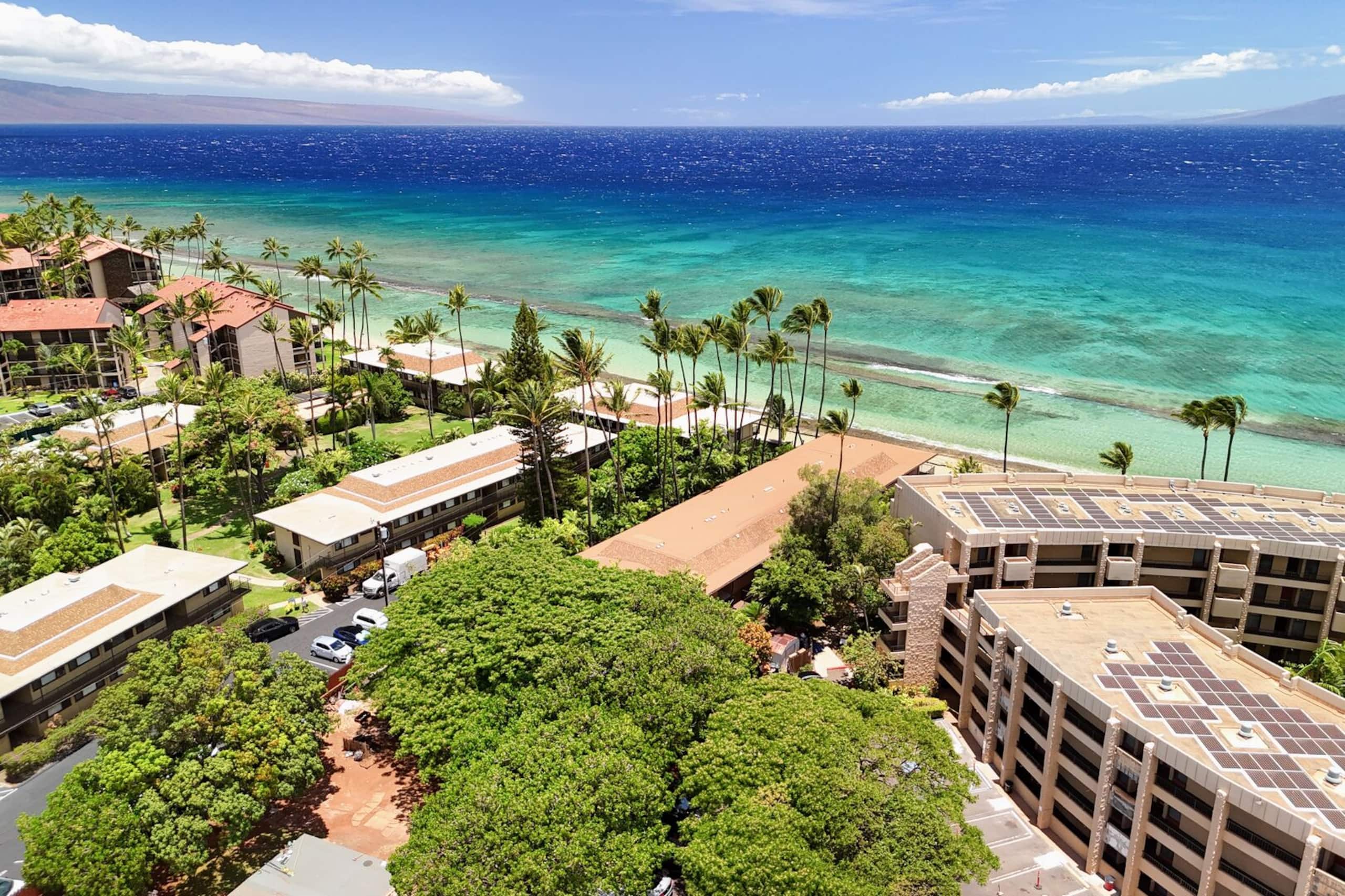 Large Maui Getaway next to Beach and Ocean - Image 46