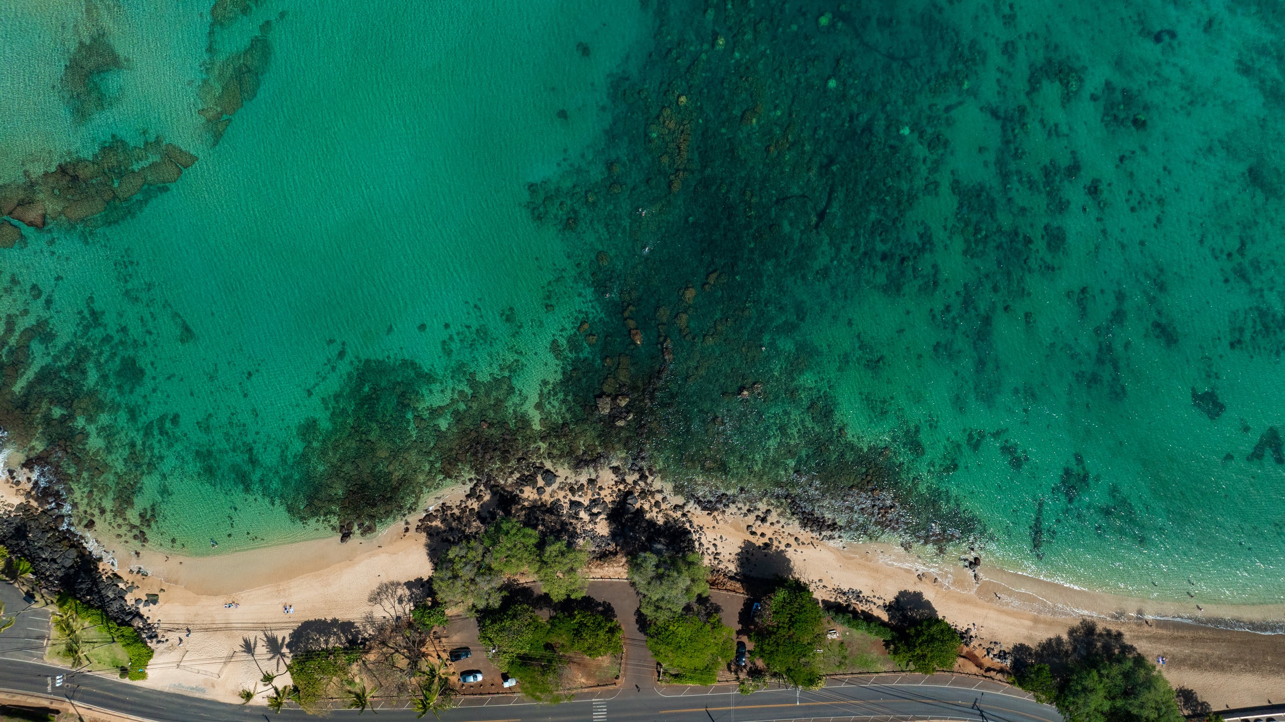 Condo in Lahaina · ★4.33 · 2 bedrooms · 3 beds · 2 private baths - Image 56