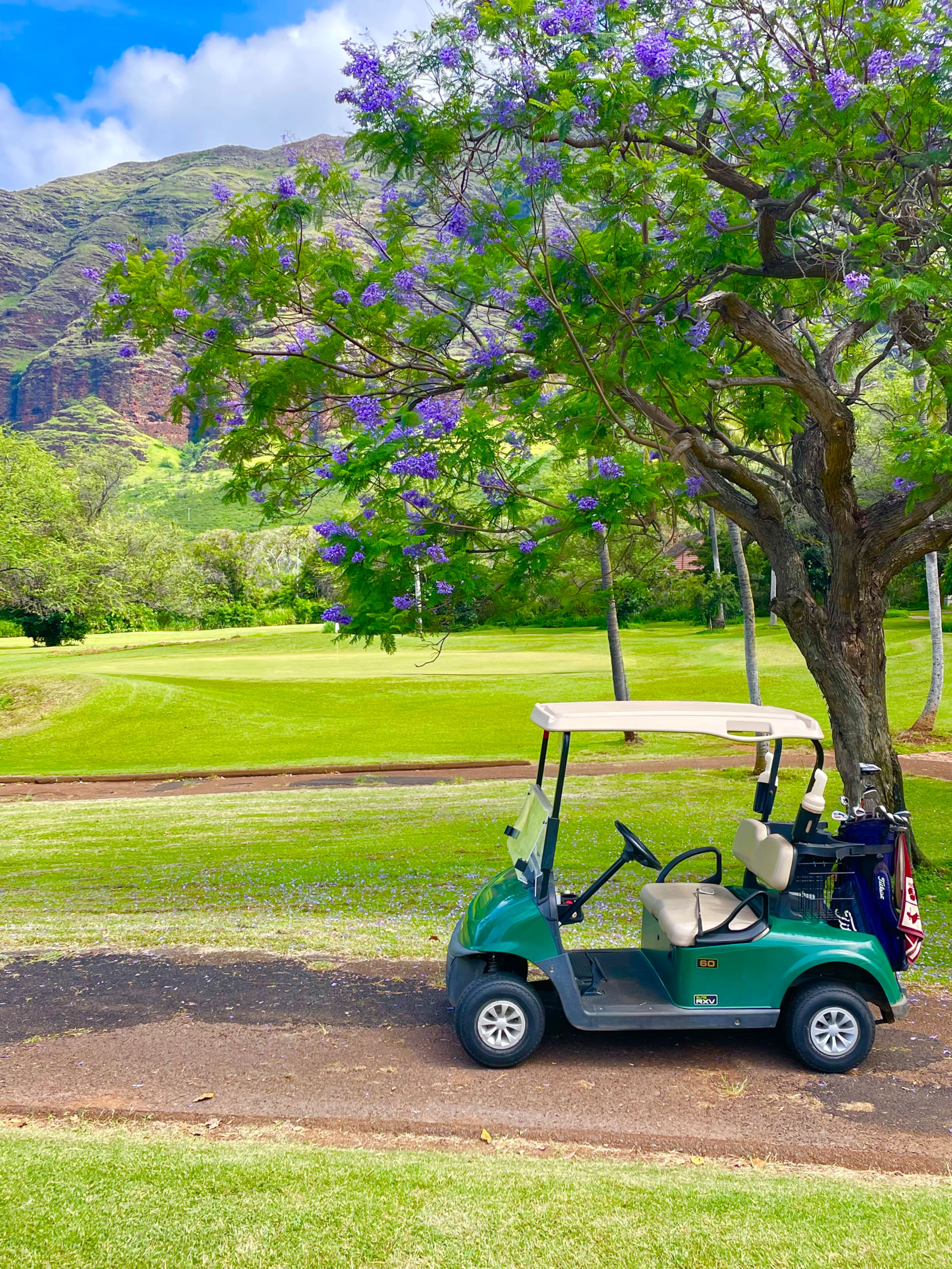 Home in Waianae · ★4.78 · 4 bedrooms · 5 beds · 2.5 private baths - Image 71
