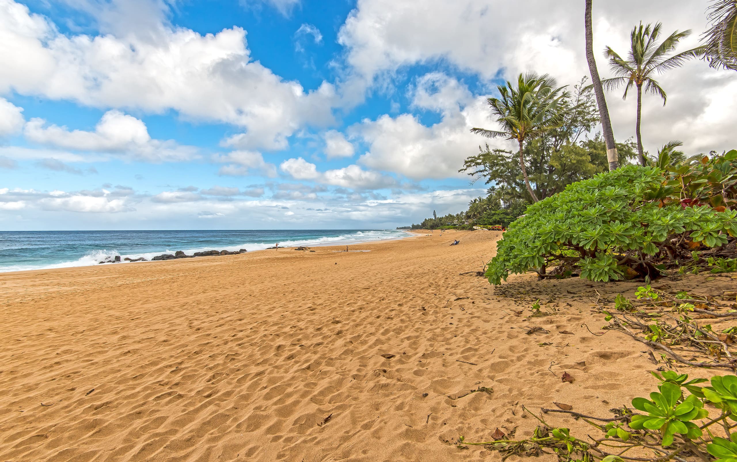 North Shore Rural Serene Home with Ocean-MT Views - Photo 52
